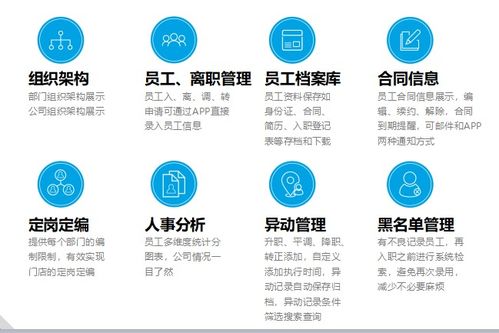 人力资源管理与人资源管理系统