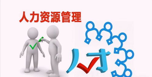企业人力资源管理的六大模块包含了哪些内容