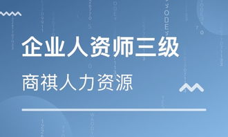深圳人力资源管理师学校