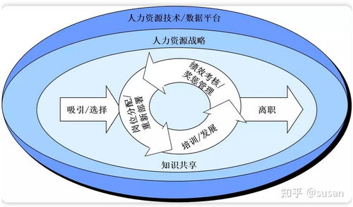 建筑企业的组织结构设计和人力资源管理