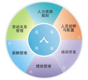 人力资源管理的定义