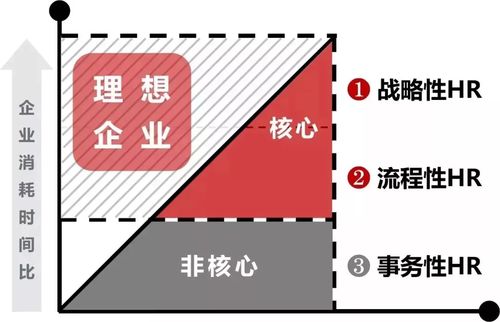 新业态 2021 人力资源外包 趋势分解及相关工作重心