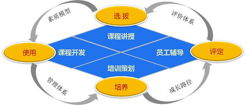 人力资源部门各职位的职责到底是啥 这11点记下来