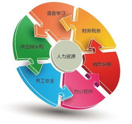 人力资源审计概述