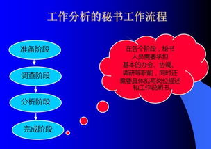 秘书与人力资源管理 从工作分析视角看融合与价值