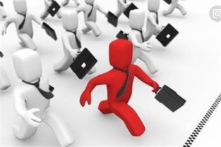 构建坚实的人力资源管理制度 核心要求与实践路径